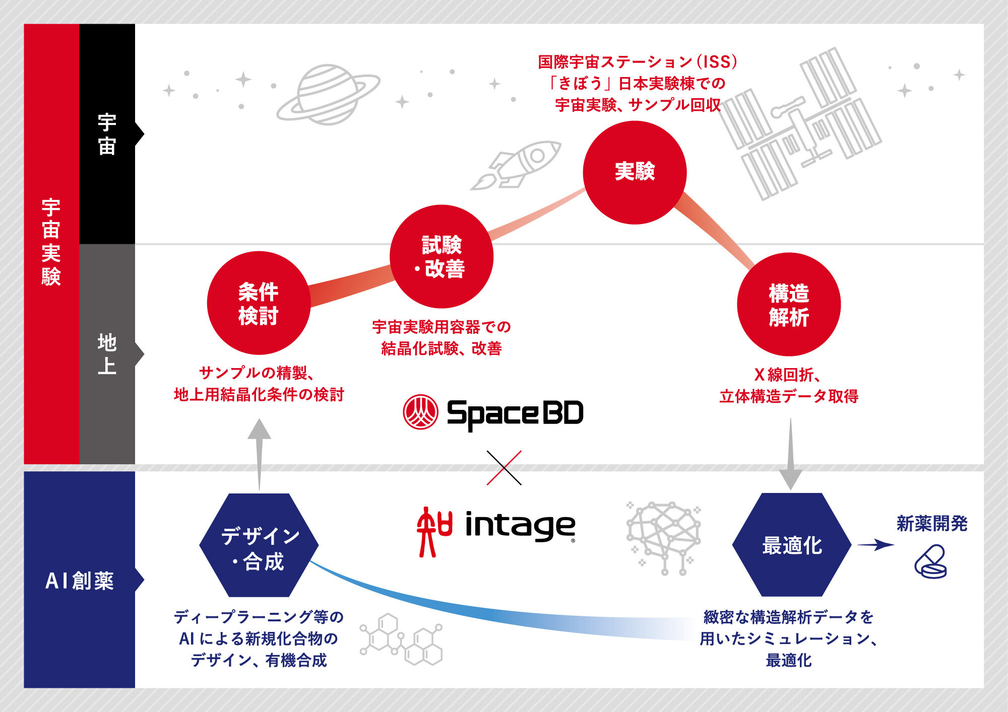 SpaceBD_x_INTAGE_cycle.jpg