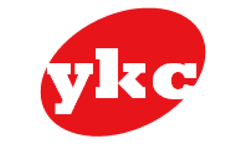 YK Consultant LLC